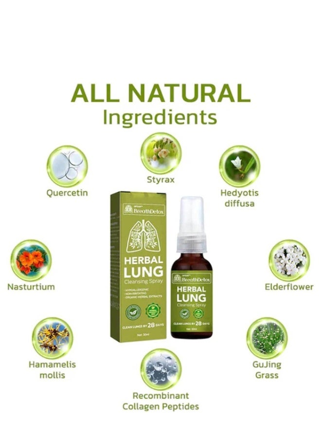 Googeer Breath Health  Brealth detox  Lung Cleansing Spray, Natural  Essence for Powerful Lung Support –  Lung Cleanse Mist 30ml - Image 3